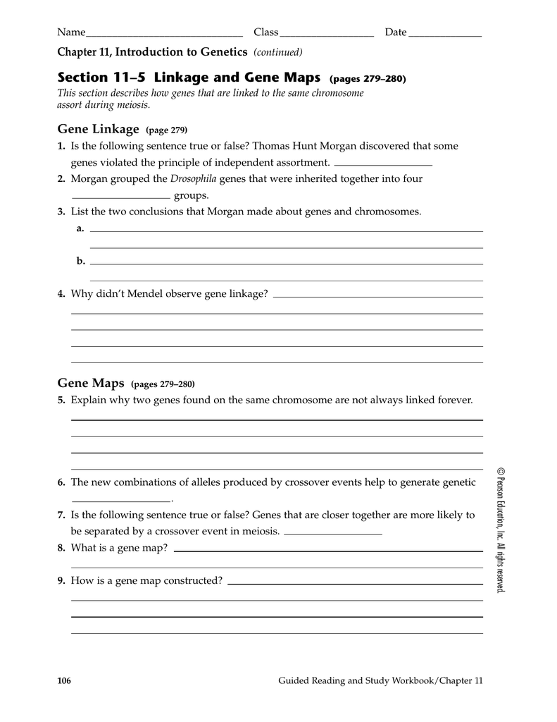 Section 11 5 Linkage And Gene Maps Worksheet Answers Section 11–5 Linkage And Gene Maps