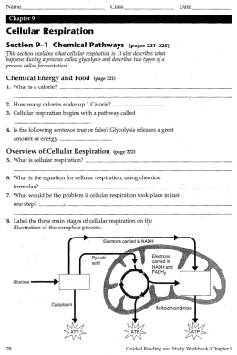 Bio 2 Chapter 9
