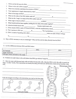 l. : Write out the full name for DNA.