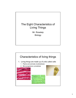 The Eight Characteristics of Living Things Characteristics of living