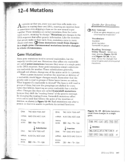 12-4- Mutations - Coleman Honors Biology