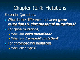 Chapter 12-4: Mutations