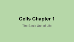 Cells Chapter 1