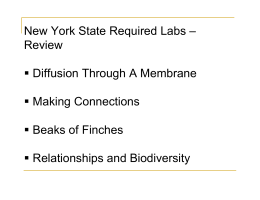 New York State Required Labs