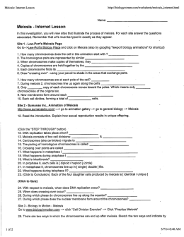 Meiosis - Internet Lesson