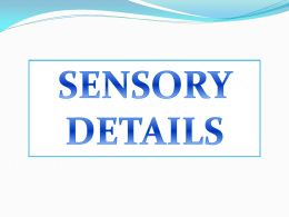 Sensory Details - Wikispaces
