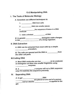 13-2 Manipulating DNA i. The Tools of Molecular Biology