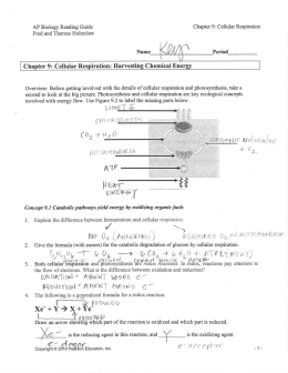 READING GUIDE: Chapter 9, Cellular Respiration