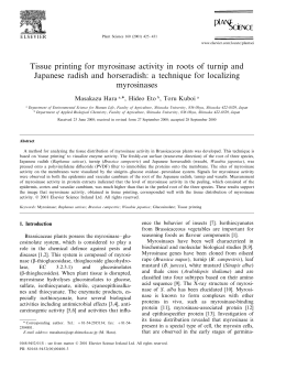 Tissue printing for myrosinase activity in roots of turnip and