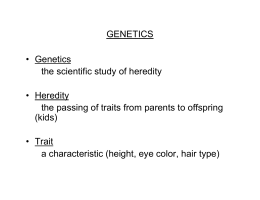 GENETICS • Genetics the scientific study of heredity • Heredity the