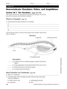 Chapter 30 Nonvertebrate Chordates, Fishes, and Amphibians, SE