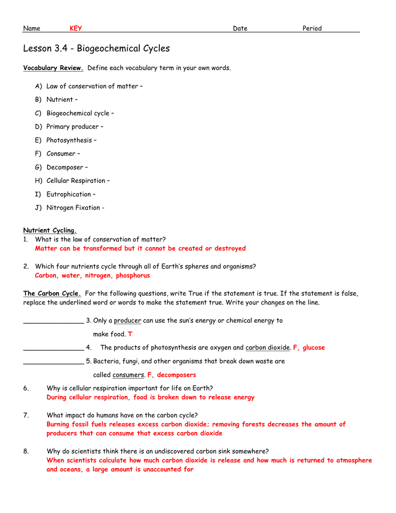 Lesson 25.25 - Biogeochemical Cycles Within Cycles Worksheet Answer Key