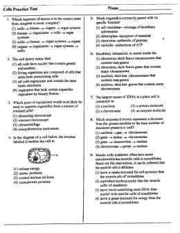 Cells Practice Test Name 1. Which sequence of terms is in the