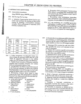 AP Bio Ch 17 SG answers