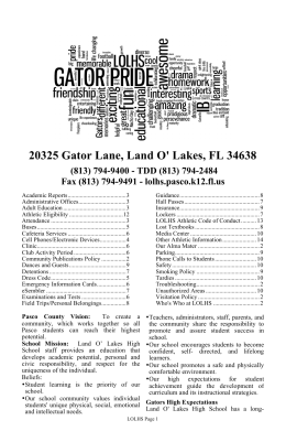 20325 Gator Lane, Land O` Lakes, FL 34638