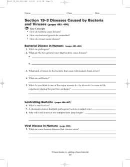 Section 19–3 Diseases Caused by Bacteria