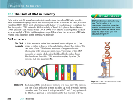 12.1 The Role of DNA in Heredity