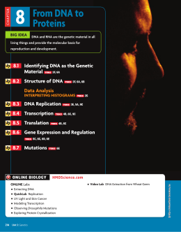 From DNA to Proteins