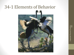34-1 Elements of Behavior