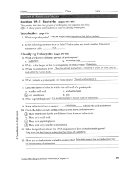 bacteria textbook answer key