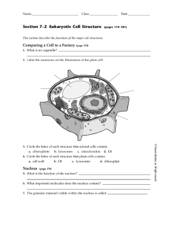 Section 7—2 Eukaryotic Cell Structure (pages 174—181)