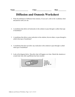 Diffusion and Osmosis Worksheet