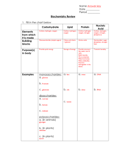 Biochemistry Review 1. Fill in the chart below Carbohydrate Lipid