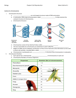 Biology Chapter 8 Cell Reproduction Notes Outline 8-1 Section 8