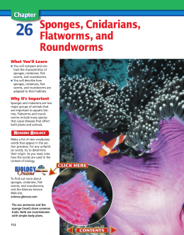 Chapter 26: Sponges, Cnidarians, Flatworms, and Roundworms