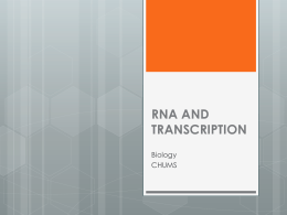 RNA AND TRANSCRIPTION