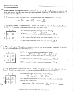 File - Siegel Science