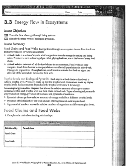 3.3 Energy Flow in Ecosystems