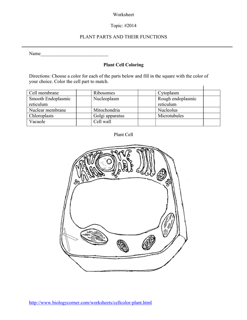Featured image of post Biologycorner com Plant Cell Coloring Two crops grown in the red soil