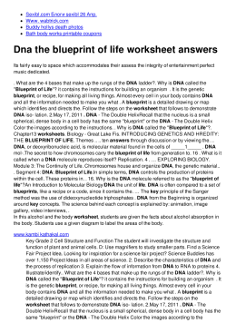 Dna the blueprint of life worksheet answers - No