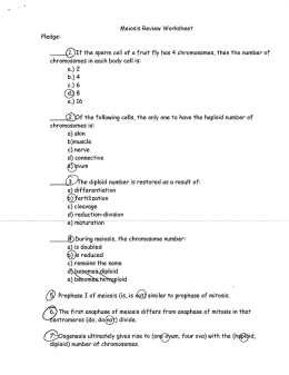 chromosomes in each body cell is: