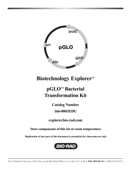 Biotechnology Explorer™ pGLO™ Bacterial Transformation Kit