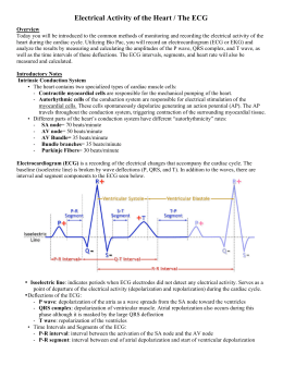 Electrical Activity of the Heart / The ECG