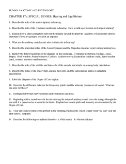 CHAPTER 17b: SPECIAL SENSES: Hearing and Equilibrium