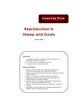 Reproduction in Sheep and Goats