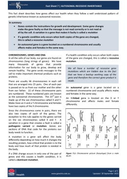 Fact Sheet 7 | AUTOSOMAL RECESSIVE INHERITANCE This fact