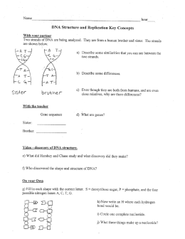 DNA Striicture and Replication Key Concepts