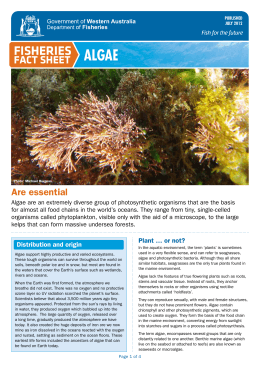 Fisheries Fact Sheet - Algae