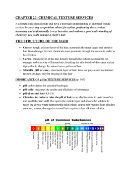Chapter 20 Chemical Texture Services