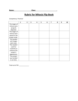 Rubric for Mitosis Flip Book
