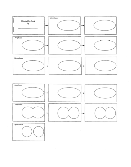 Mitosis Flip Book by - Academy Charter School