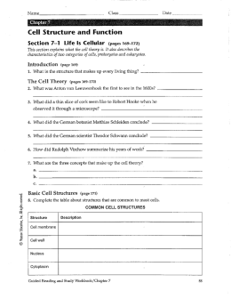 Cell Structure and Function
