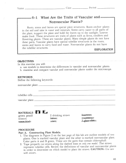 6—1 What Are the Traits of Vascular and Nonvascular Plants?