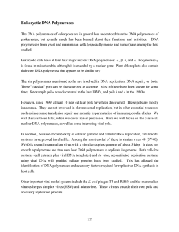 Eukaryotic DNA Polymerases
