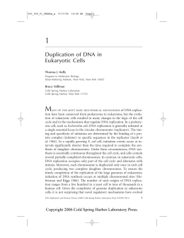 Duplication of DNA in Eukaryotic Cells