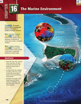 The Marine Environment